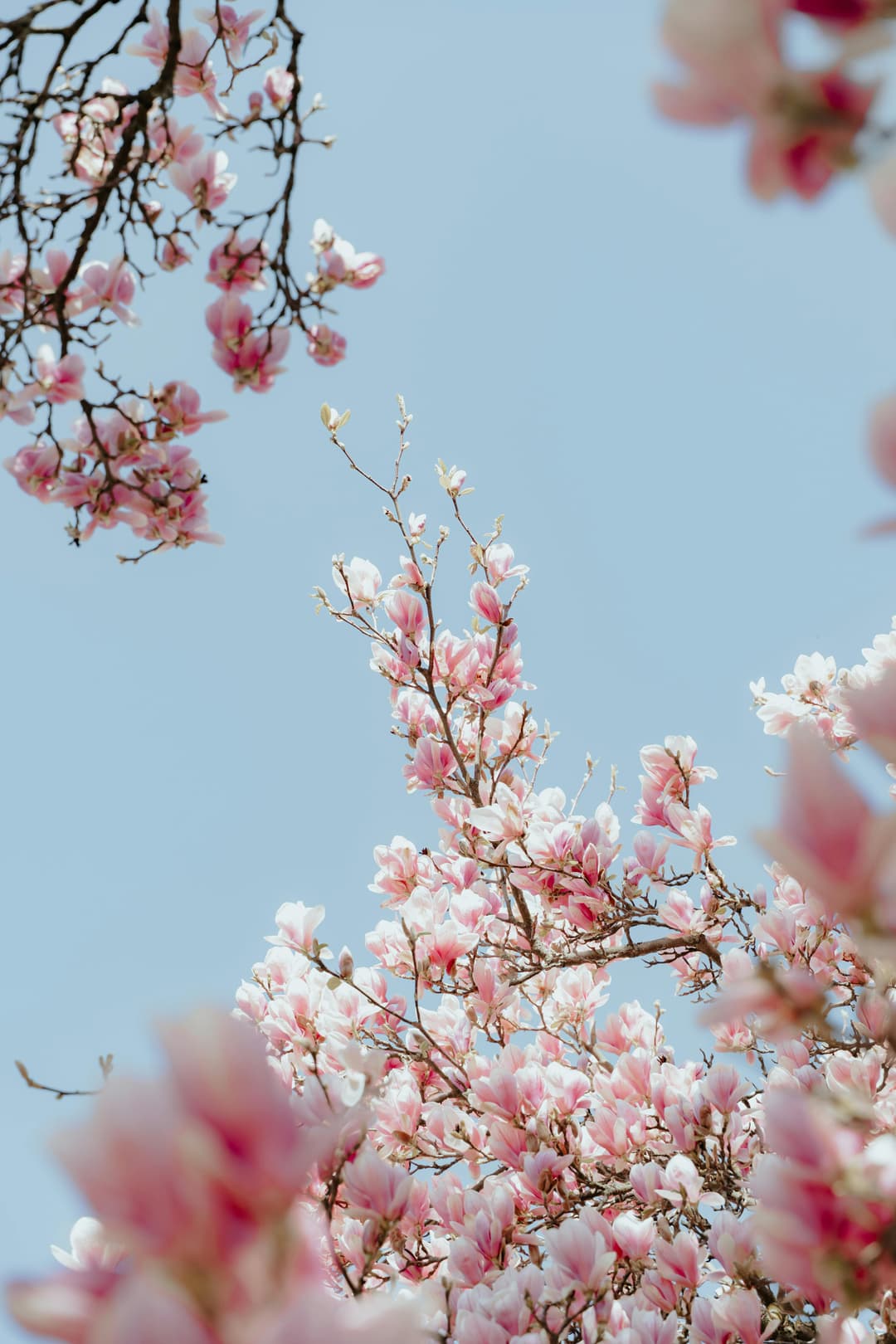 Popular Images Categories-Nature