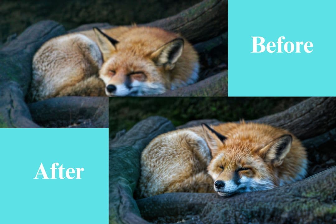 Prompt-Guided Image Generation